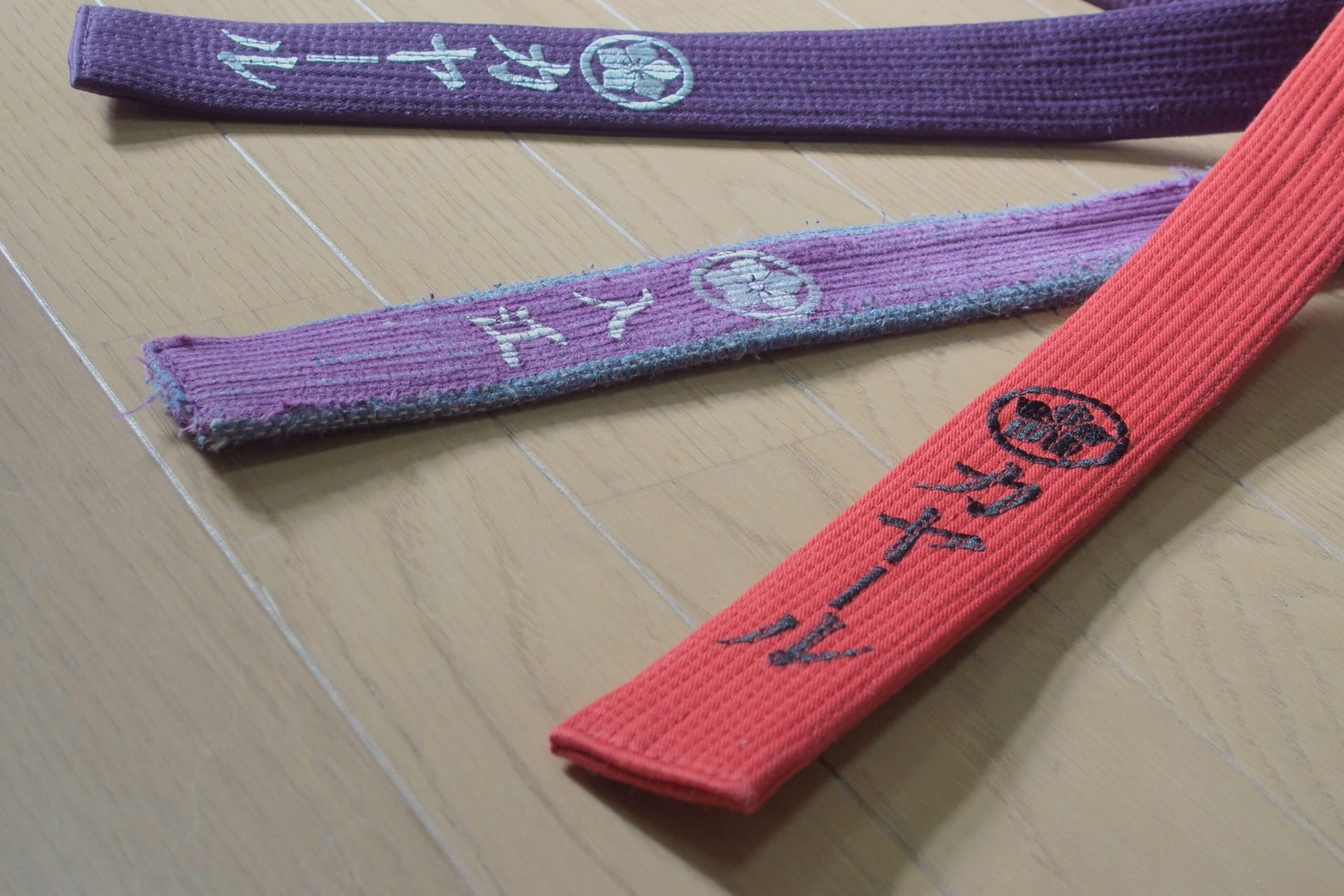 Klinik & Dojo Treffen in Japan 2016
