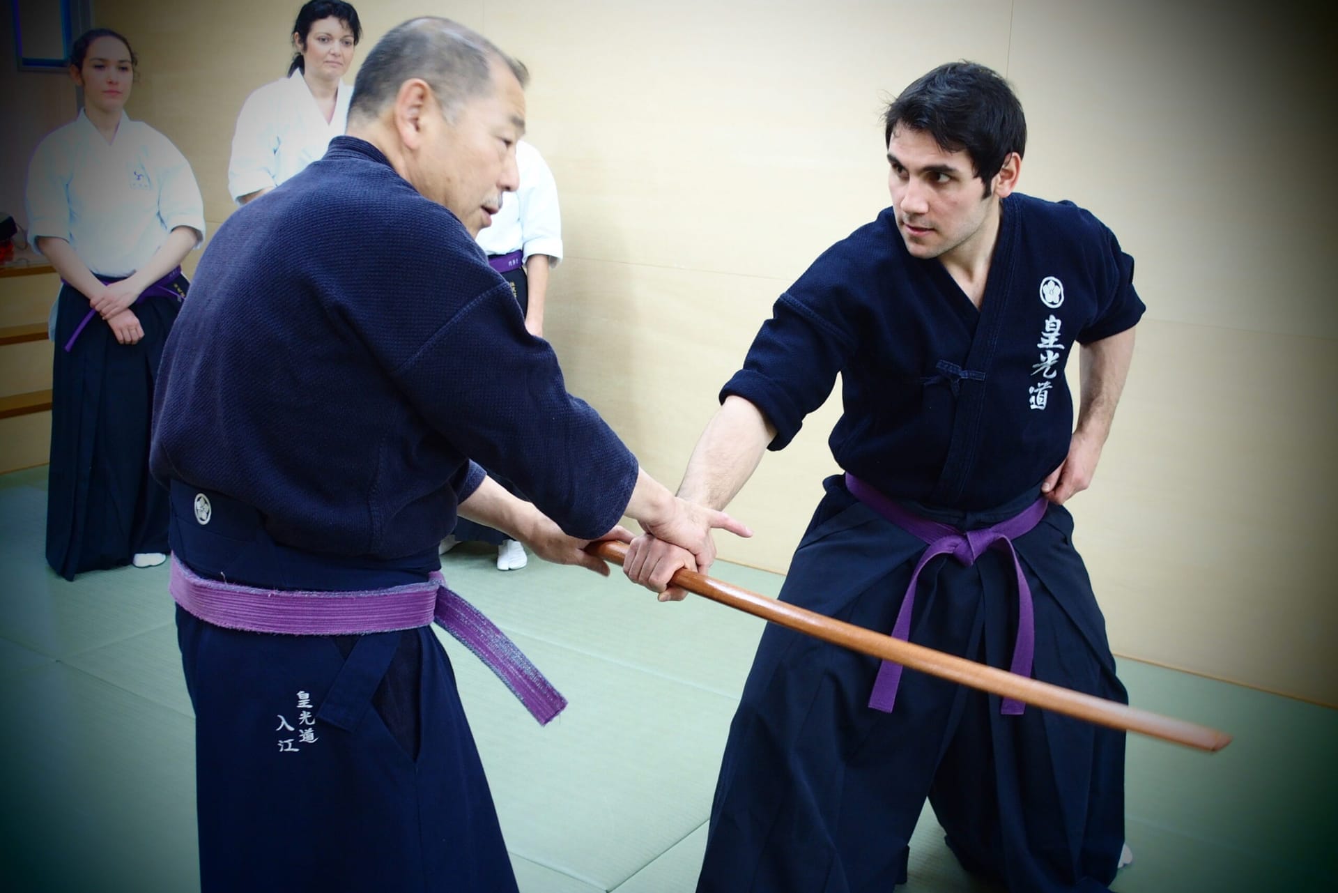 Klinik & Dojo Treffen in Japan 2016